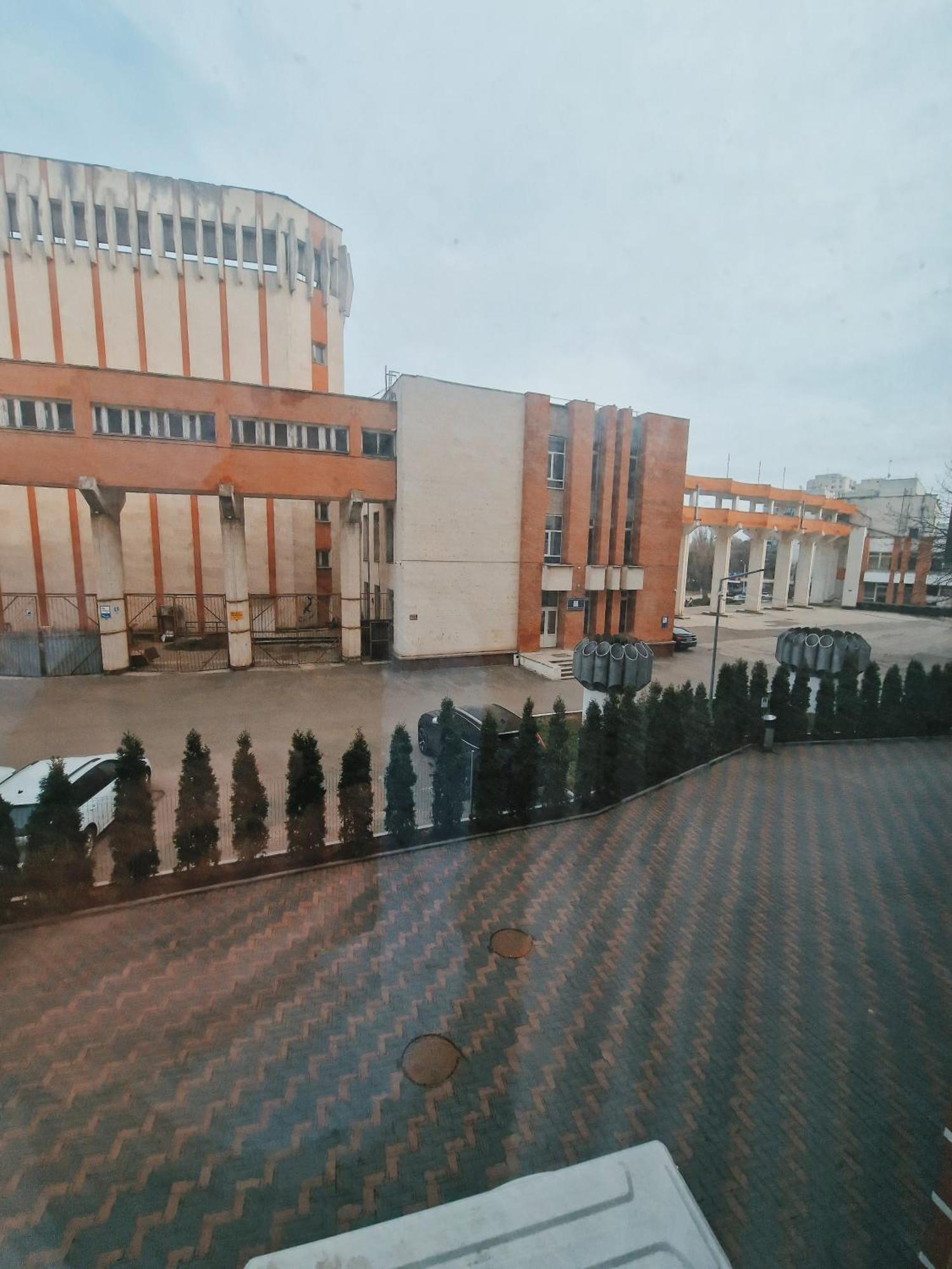 Bella White Chisinau